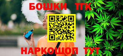 МДПВ Татарск