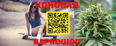 МДПВ Татарск