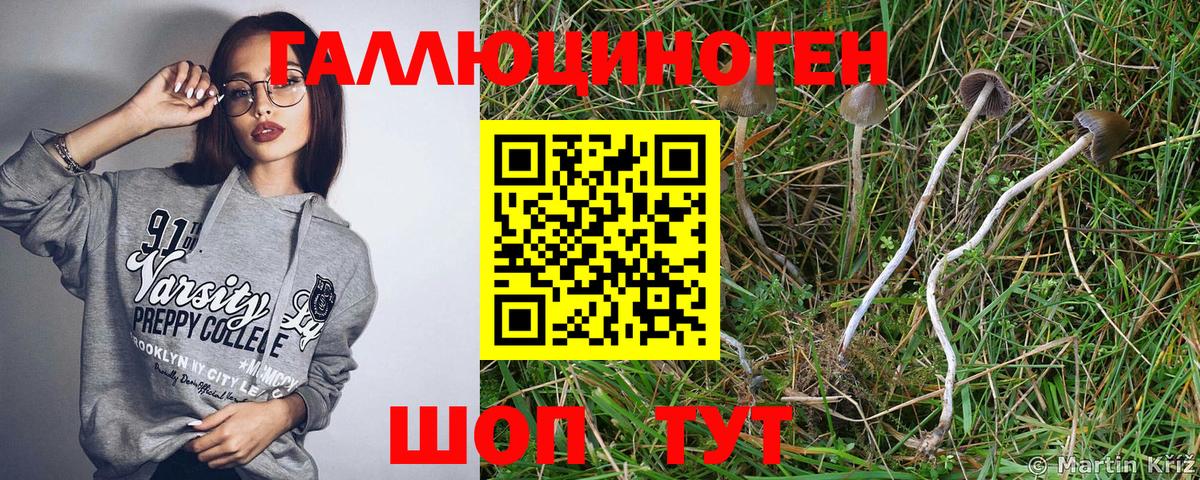 Галлюциногенные грибы прущие грибы Минусинск