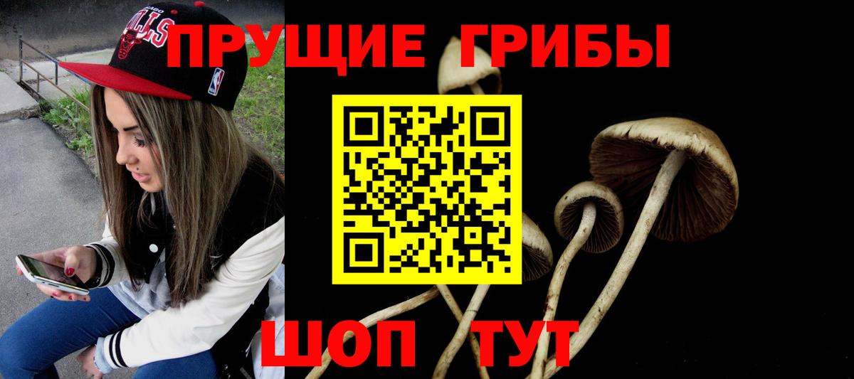 Минусинск  Псилоцибиновые грибы ЛСД  Вход с VPN 